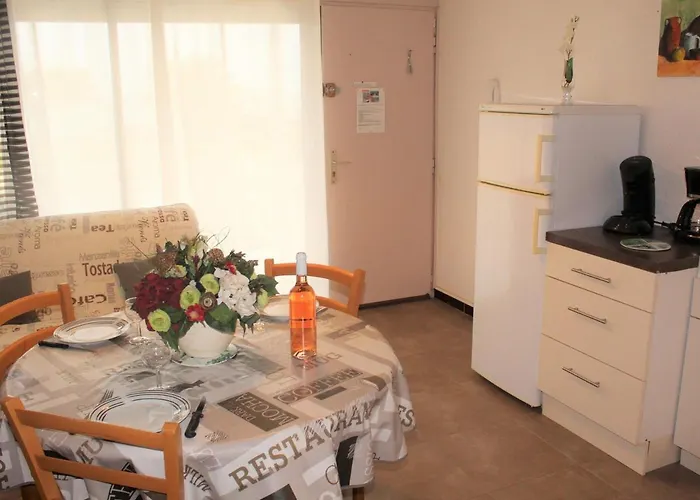 26m² Avec Jardin Et Animaux Admis A - Fr-1-503-51 Balaruc-les-Bains