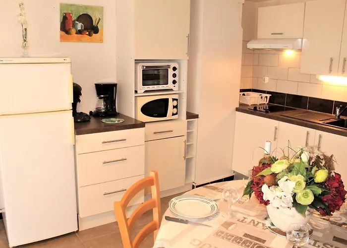 Apartmán 26m² Avec Jardin Et Animaux Admis A - Fr-1-503-51 Balaruc-les-Bains